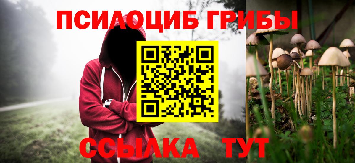 даркнет сайт  Галлюциногенные грибы MAGIC MUSHROOMS  Вход с VPN  Псилоцибиновые грибы мицелий  Советская Гавань 