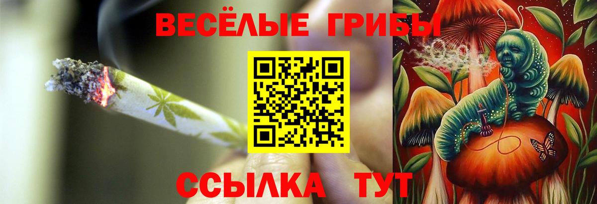 Псилоцибиновые грибы мицелий Советская Гавань